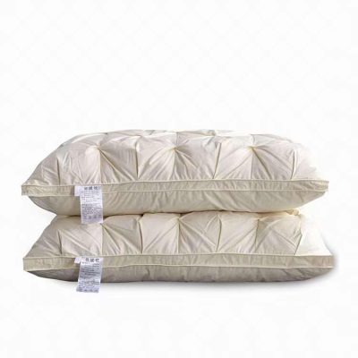 Silk Fiber Pillow